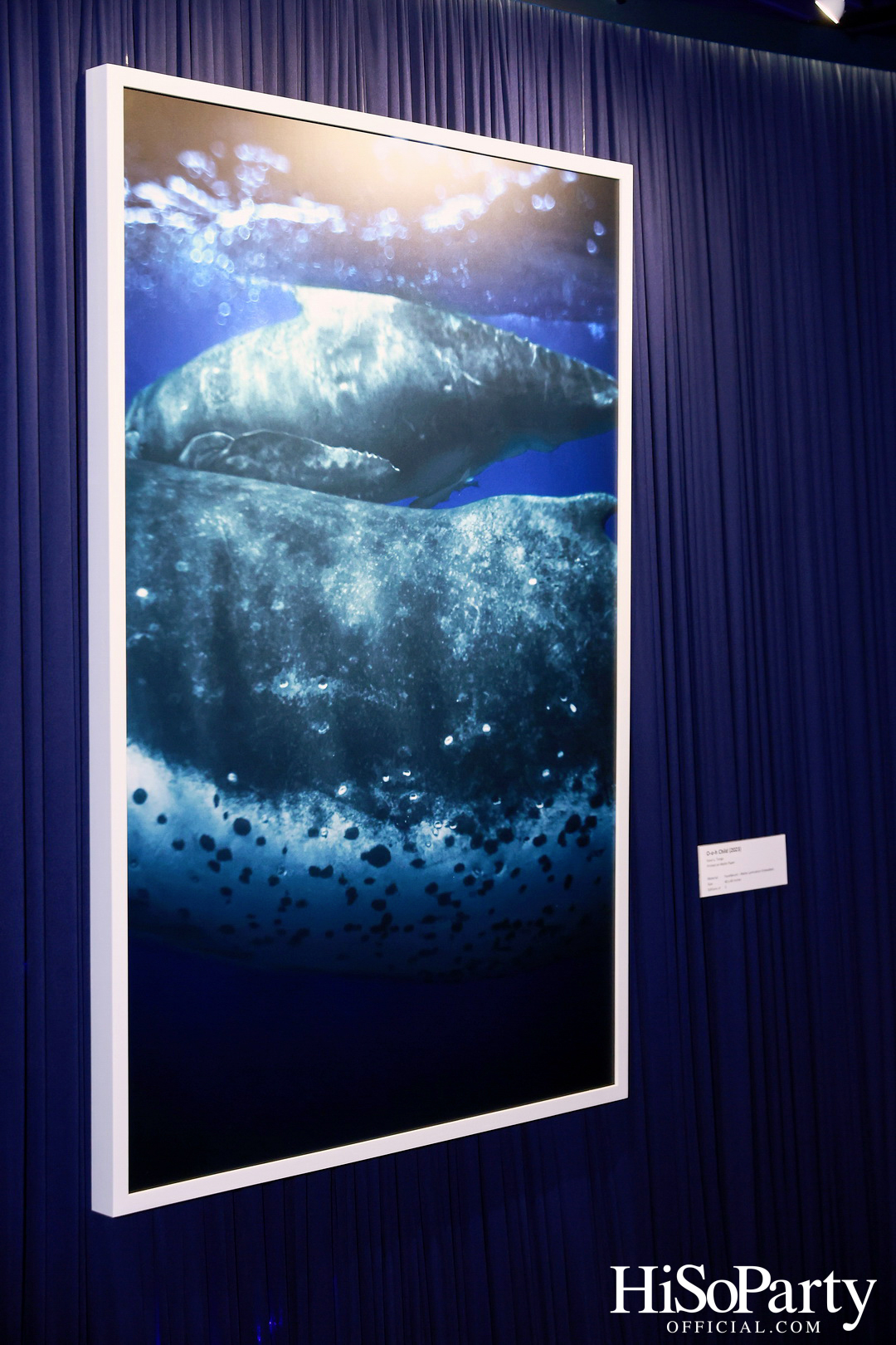 งานเปิด ‘ECHOES’ นิทรรศการภาพถ่าย โดย นันทญา ภิรมย์ภักดี 