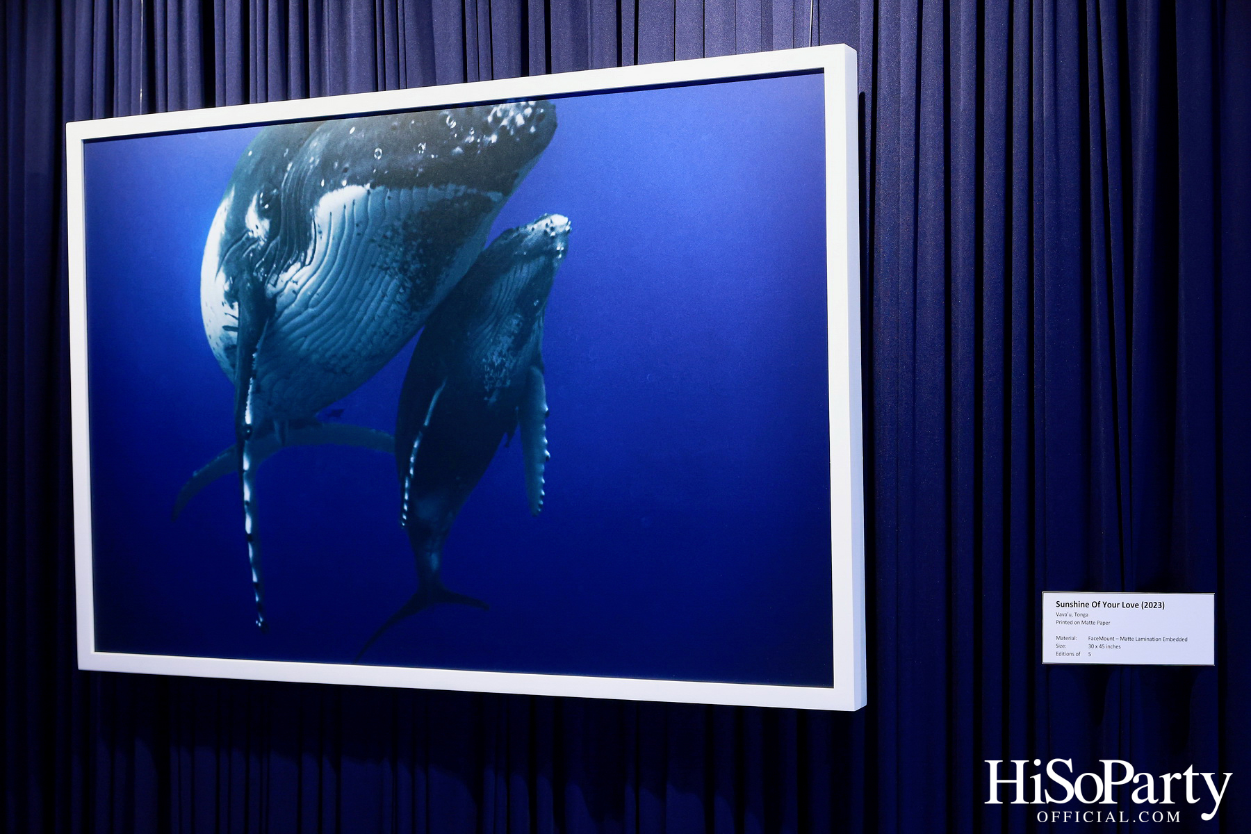 งานเปิด ‘ECHOES’ นิทรรศการภาพถ่าย โดย นันทญา ภิรมย์ภักดี 