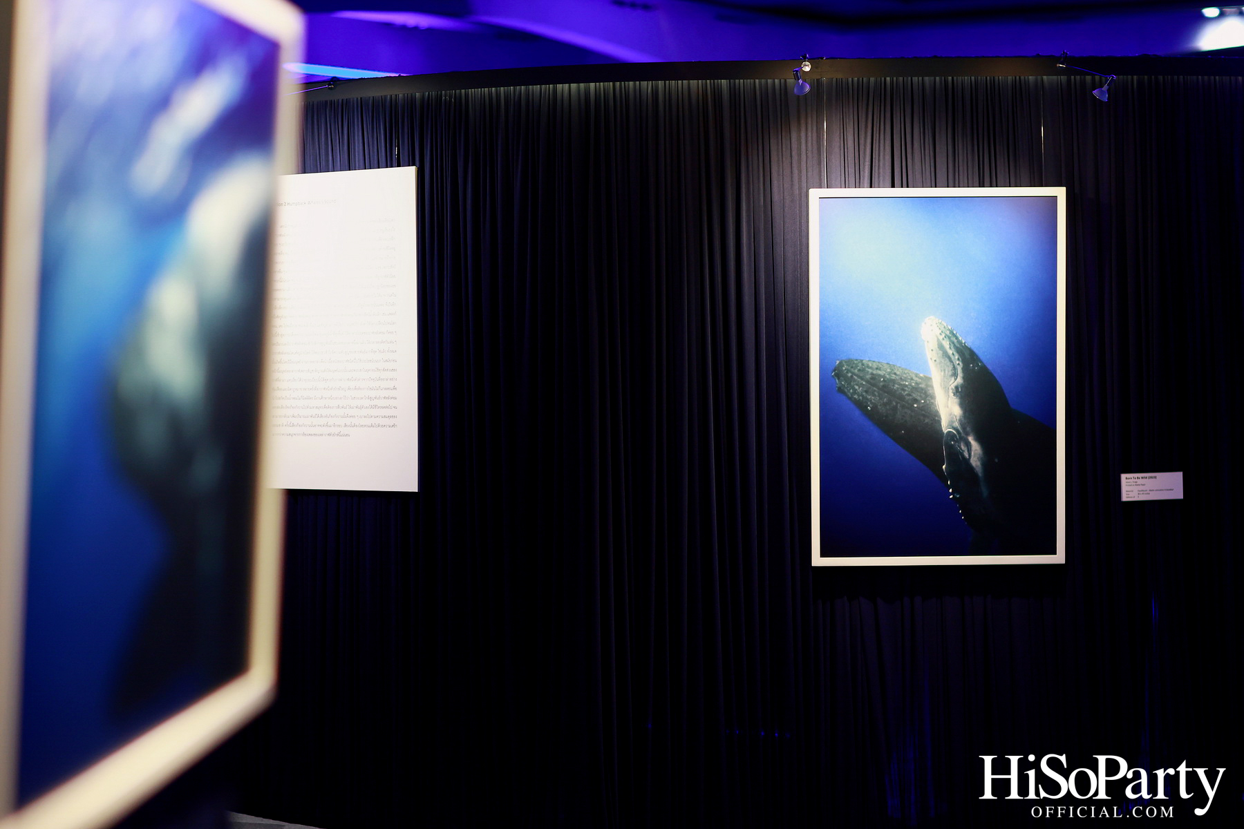 งานเปิด ‘ECHOES’ นิทรรศการภาพถ่าย โดย นันทญา ภิรมย์ภักดี 