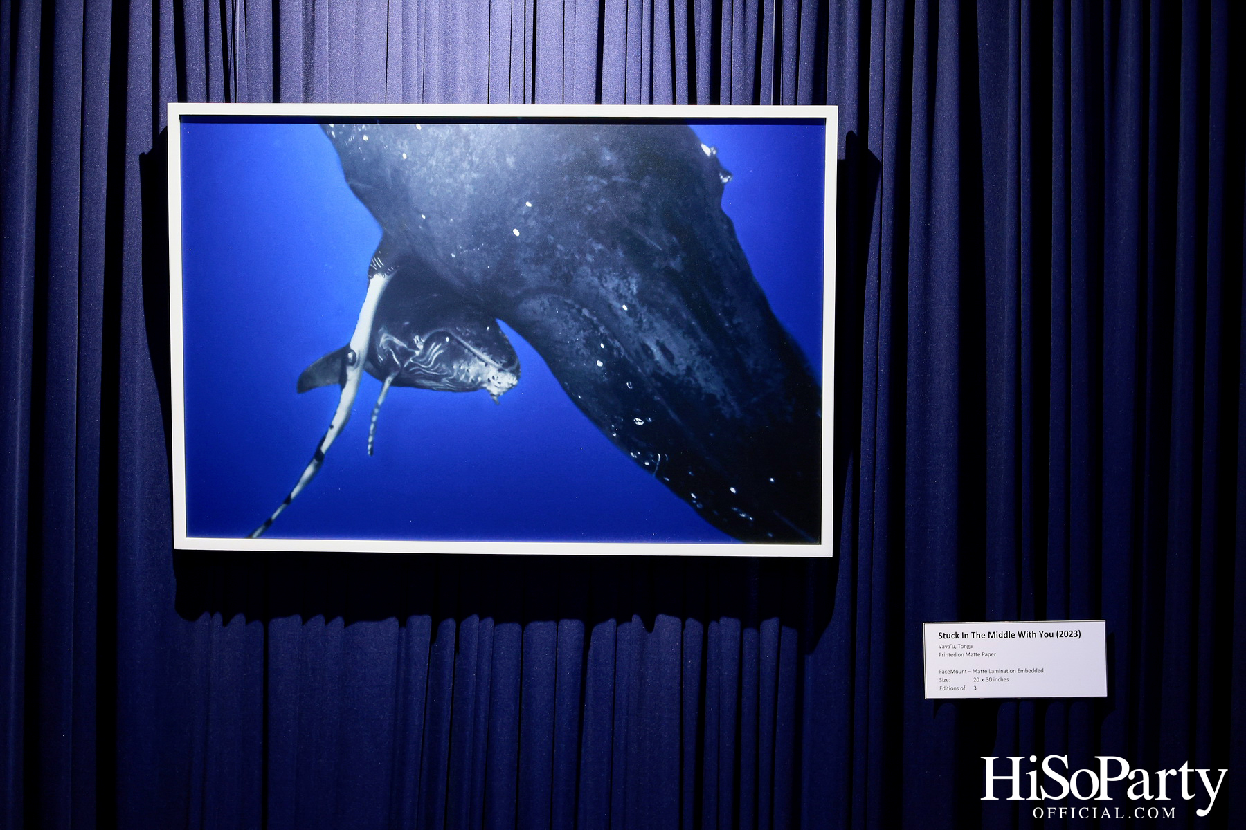 งานเปิด ‘ECHOES’ นิทรรศการภาพถ่าย โดย นันทญา ภิรมย์ภักดี 