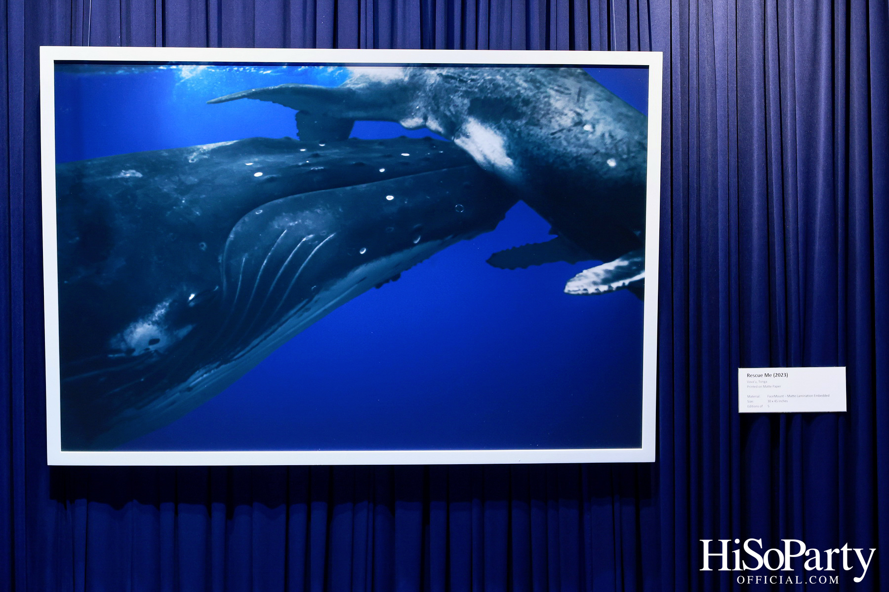 งานเปิด ‘ECHOES’ นิทรรศการภาพถ่าย โดย นันทญา ภิรมย์ภักดี 