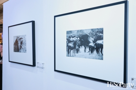 งานเปิดนิทรรศการ EXPLORATION: Framing the World through My Lens