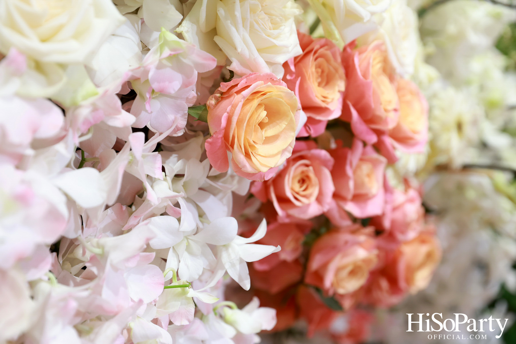 CENTRAL 77th ANNIVERSARY