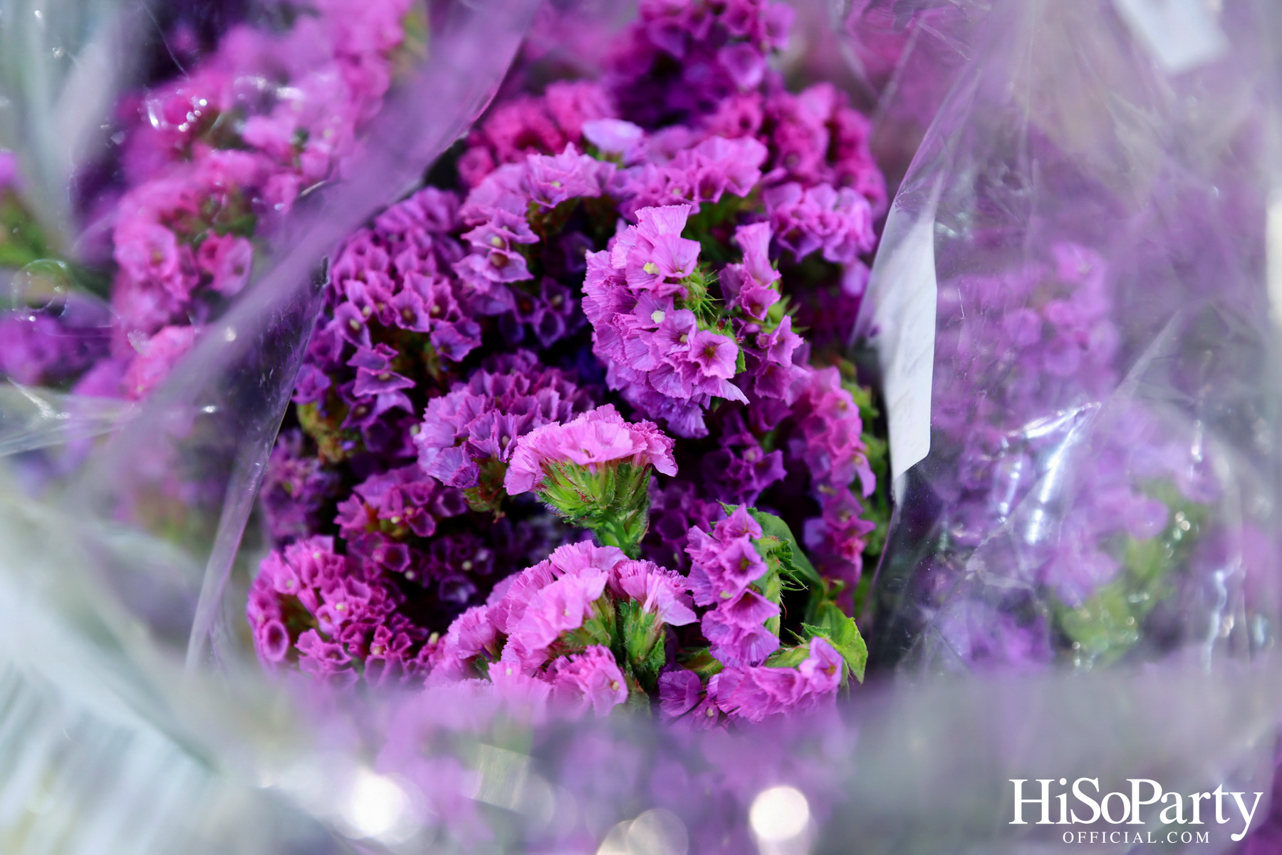 มูลนิธิโครงการหลวง ร่วมกับ สยามพารากอน จัดงาน ‘Royal Project Gastronomy Festival 2025 @Siam Paragon’