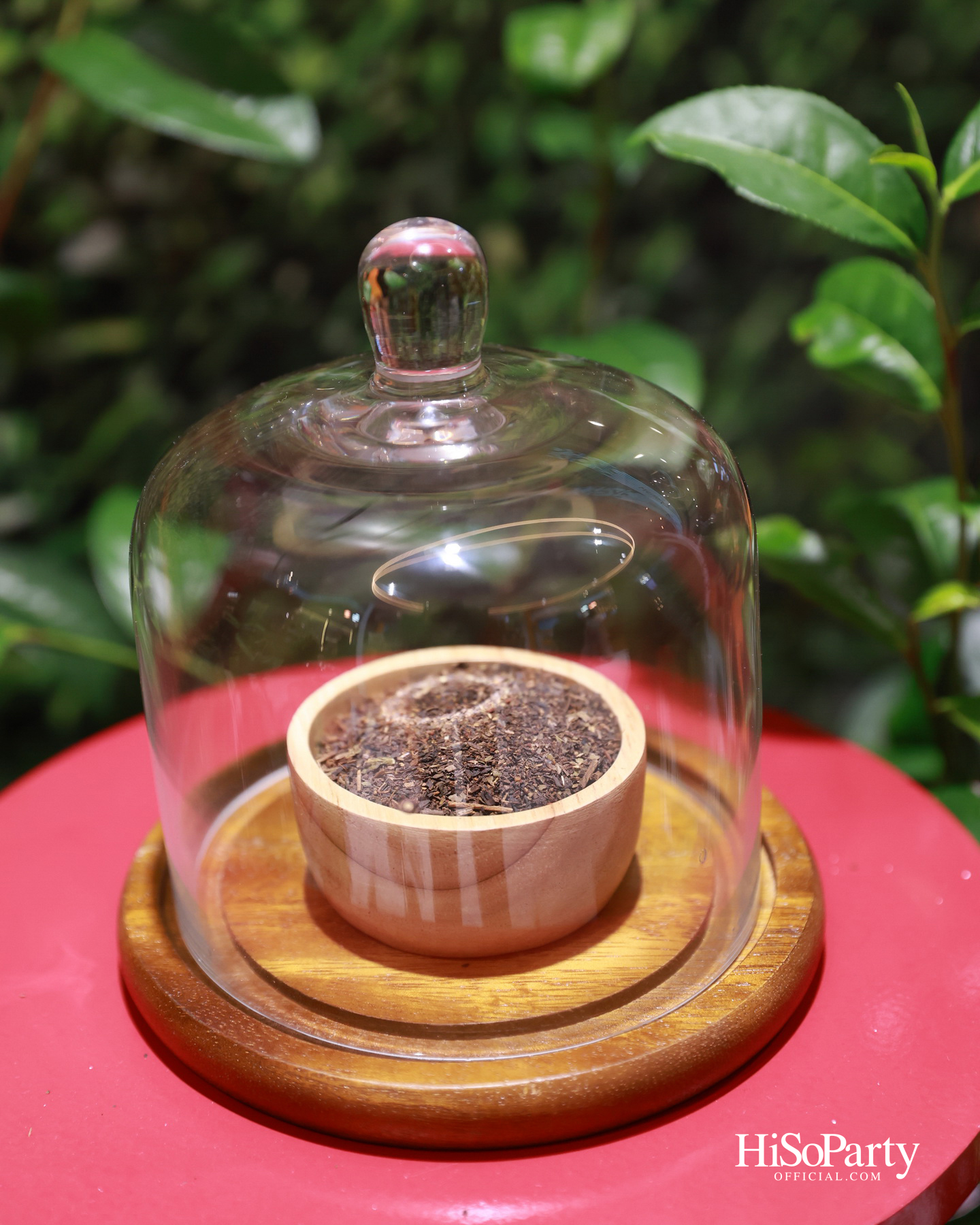 'ชาตรามือ' ฉลอง 80 ปี จัดงาน 'ChaTraMue Original Thai Tea Festival' พร้อมเมนูพิเศษและการครีเอตร่วมกับ 10 แบรนด์ดัง