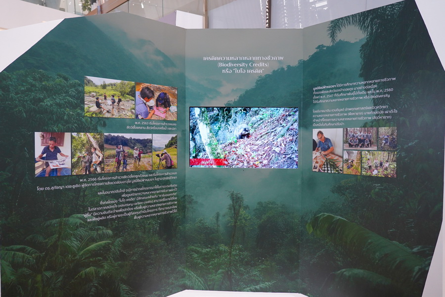 ‘คิดถึง...สมเด็จย่า ครั้งที่ 28’ ถ่ายทอดพระราชปณิธานแห่งความยั่งยืน สู่เส้นทางแม่ฟ้าหลวงจากวันวานสู่วันนี้