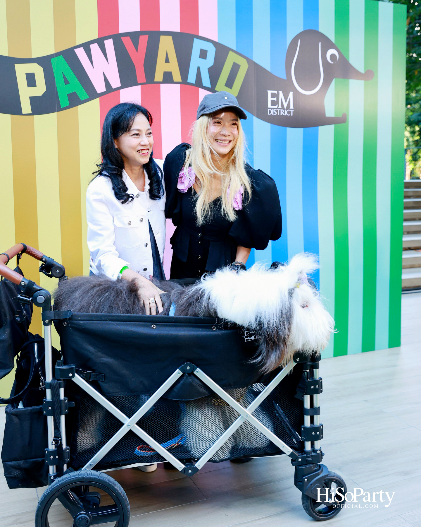 เอ็ม ดิสทริคยกระดับประสบการณ์ Pet-friendly เปิดตัว ‘PAW YARD’ สวนกลางเมืองสำหรับคนรักสัตว์เลี้ยง