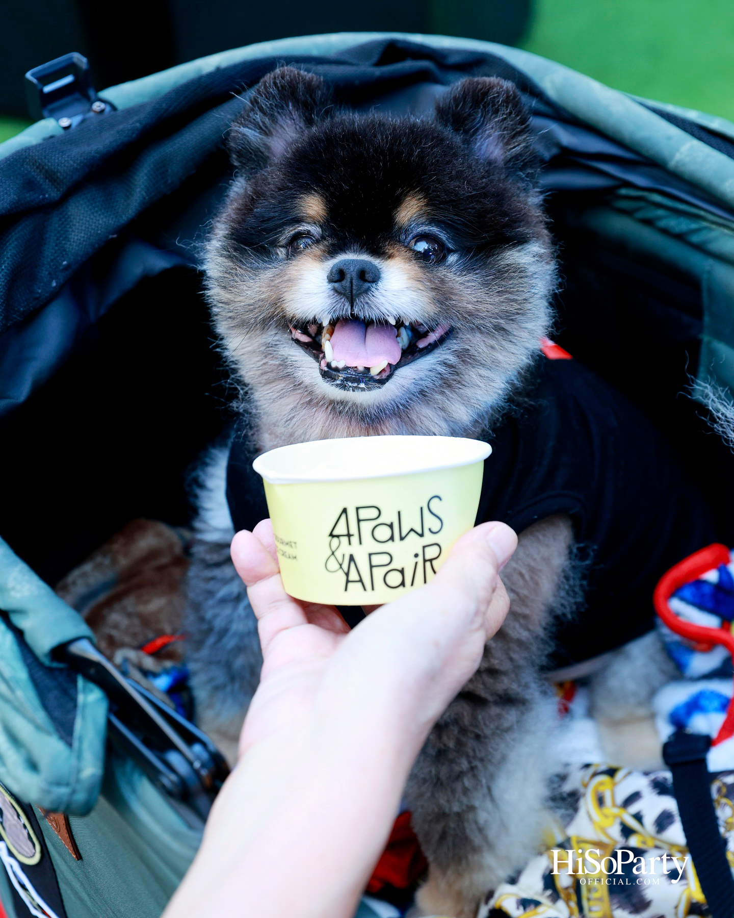 เอ็ม ดิสทริคยกระดับประสบการณ์ Pet-friendly เปิดตัว ‘PAW YARD’ สวนกลางเมืองสำหรับคนรักสัตว์เลี้ยง