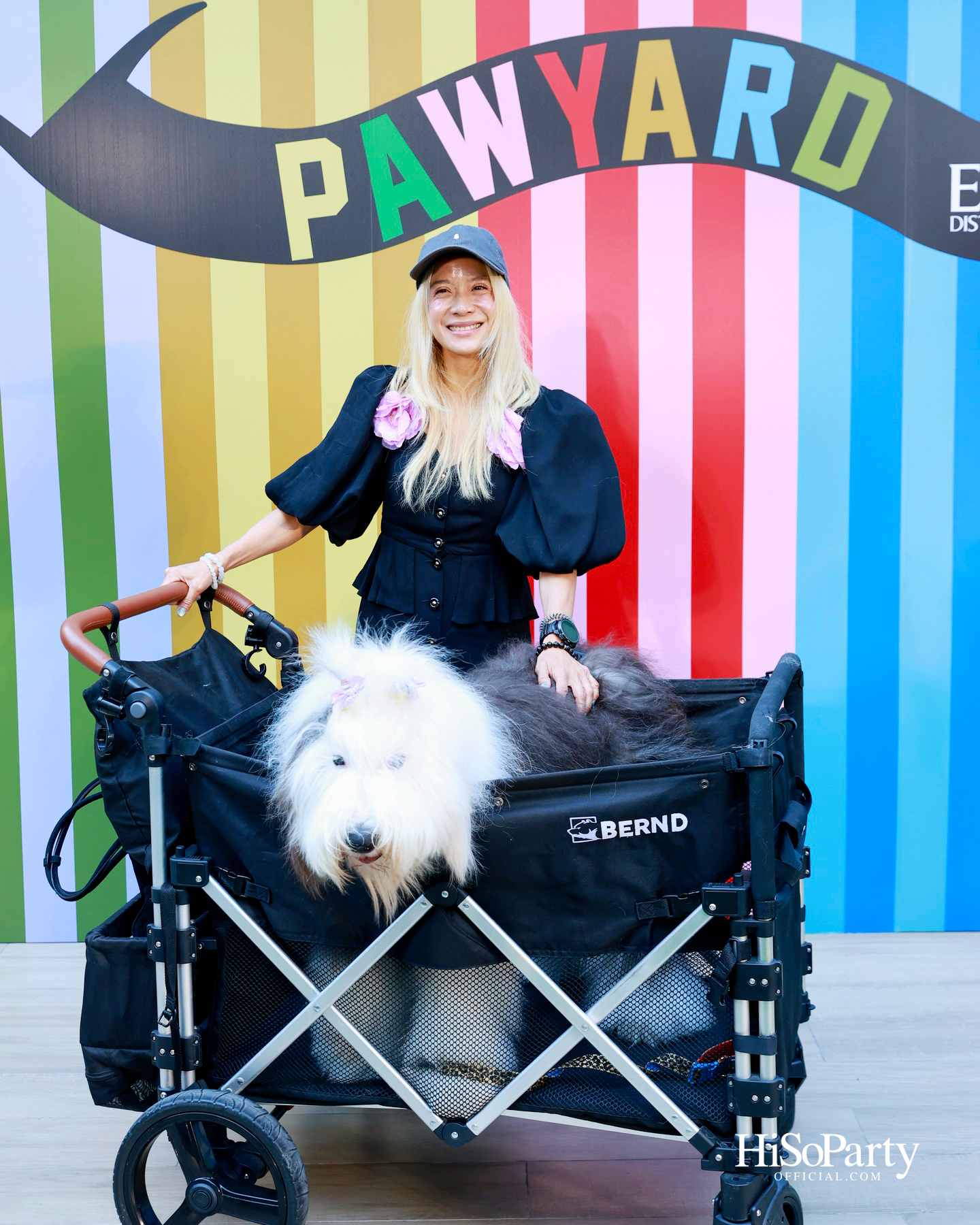 เอ็ม ดิสทริคยกระดับประสบการณ์ Pet-friendly เปิดตัว ‘PAW YARD’ สวนกลางเมืองสำหรับคนรักสัตว์เลี้ยง