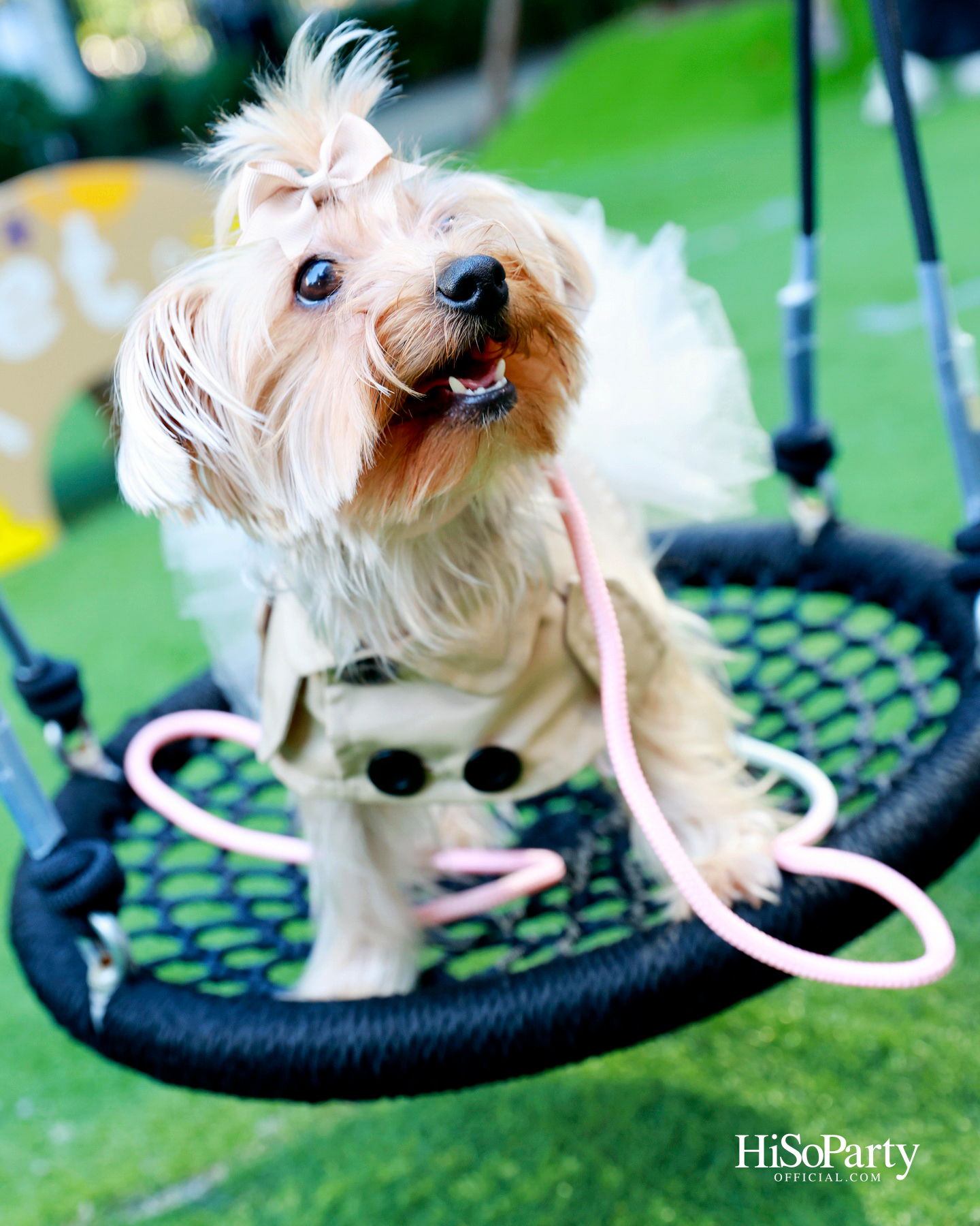 เอ็ม ดิสทริคยกระดับประสบการณ์ Pet-friendly เปิดตัว ‘PAW YARD’ สวนกลางเมืองสำหรับคนรักสัตว์เลี้ยง