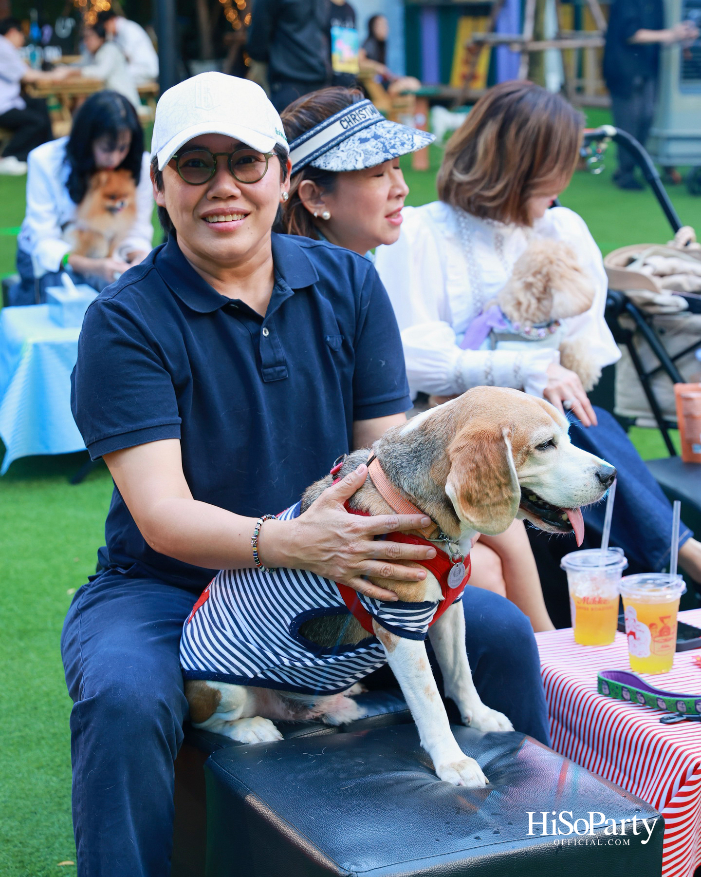 เอ็ม ดิสทริคยกระดับประสบการณ์ Pet-friendly เปิดตัว ‘PAW YARD’ สวนกลางเมืองสำหรับคนรักสัตว์เลี้ยง