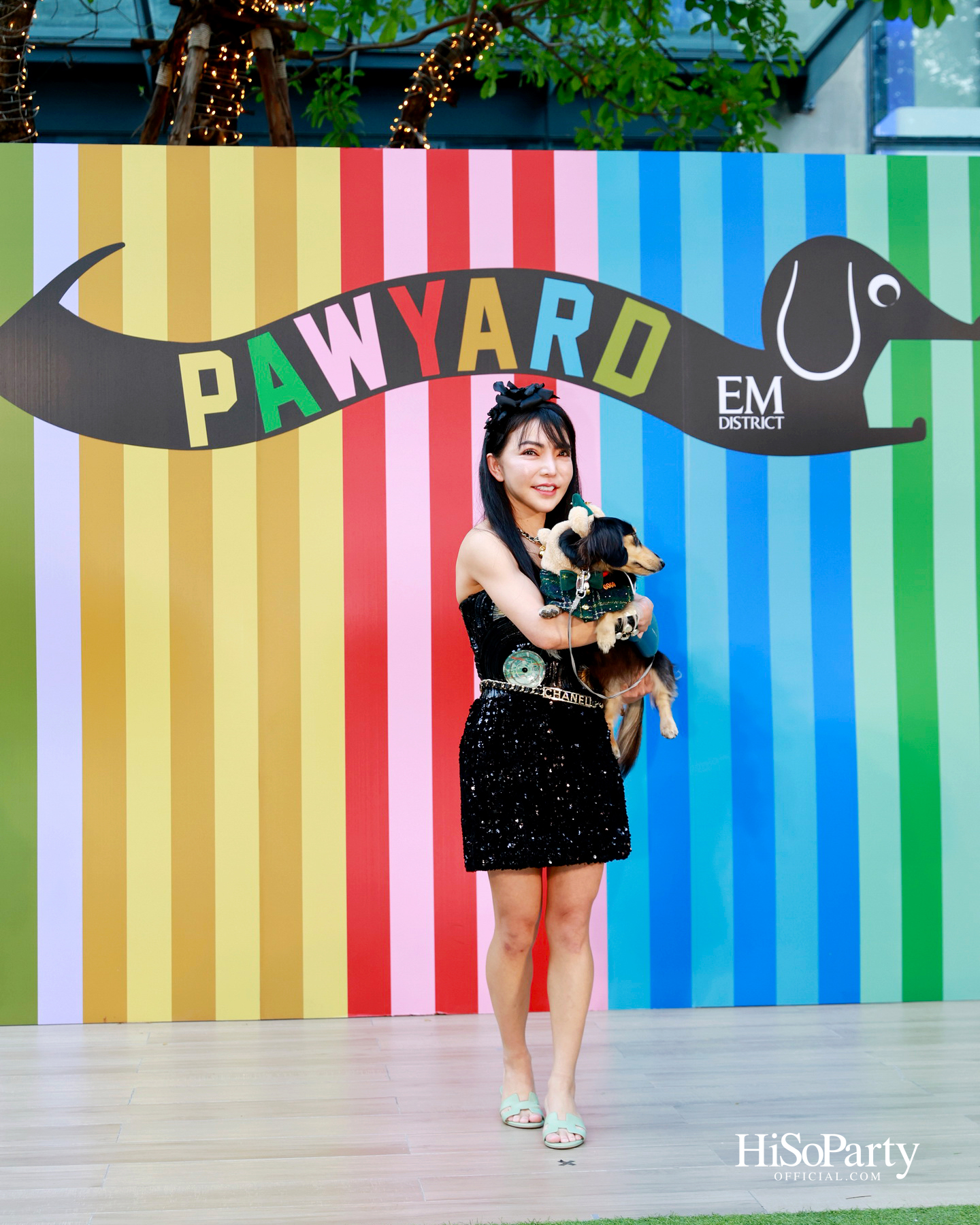 เอ็ม ดิสทริคยกระดับประสบการณ์ Pet-friendly เปิดตัว ‘PAW YARD’ สวนกลางเมืองสำหรับคนรักสัตว์เลี้ยง