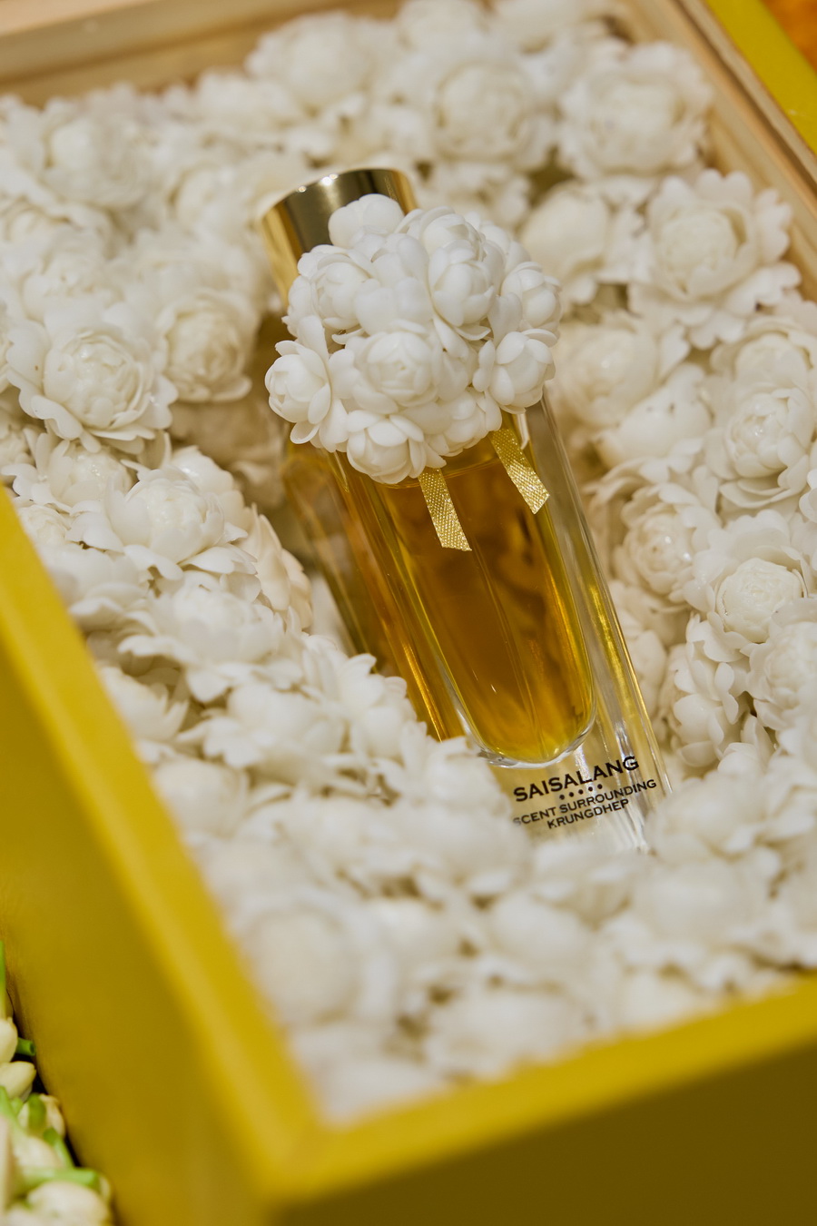 ‘งานดอกไม้ปาร์คนายเลิศ ครั้งที่ 36’ ถ่ายทอดสวนแห่งอนาคต ผสานศิลปะและนวัตกรรม 18–21 ธันวาคม 2568 ณ ปาร์คนายเลิศ