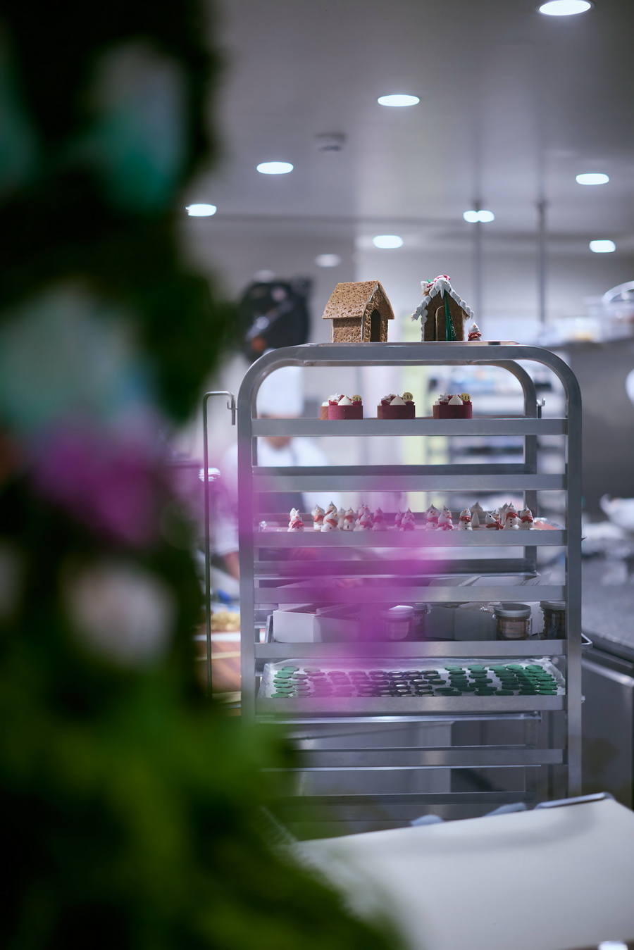 ‘งานดอกไม้ปาร์คนายเลิศ ครั้งที่ 36’ ถ่ายทอดสวนแห่งอนาคต ผสานศิลปะและนวัตกรรม 18–21 ธันวาคม 2568 ณ ปาร์คนายเลิศ