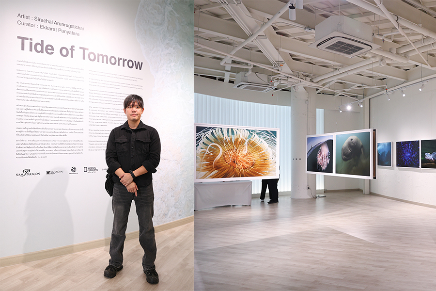 สยามพารากอน ชวนร่วมสัมผัสความงดงาม และอนุรักษ์โลกใต้ท้องทะเล ในนิทรรศการ ‘TIDE OF TOMORROW’ ตั้งแต่วันนี้ถึง 5 มกราคม 2569