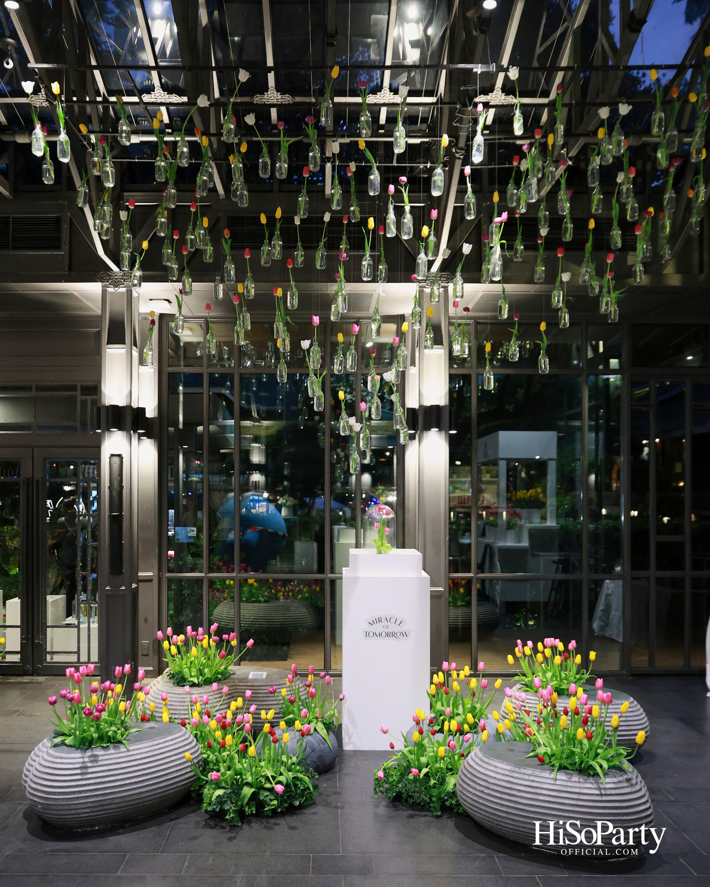 ‘งานดอกไม้ปาร์คนายเลิศ ครั้งที่ 36’ สวนศิลป์แห่งอนาคต ภายใต้คอนเซ็ปต์ ‘Garden of Tomorrow’