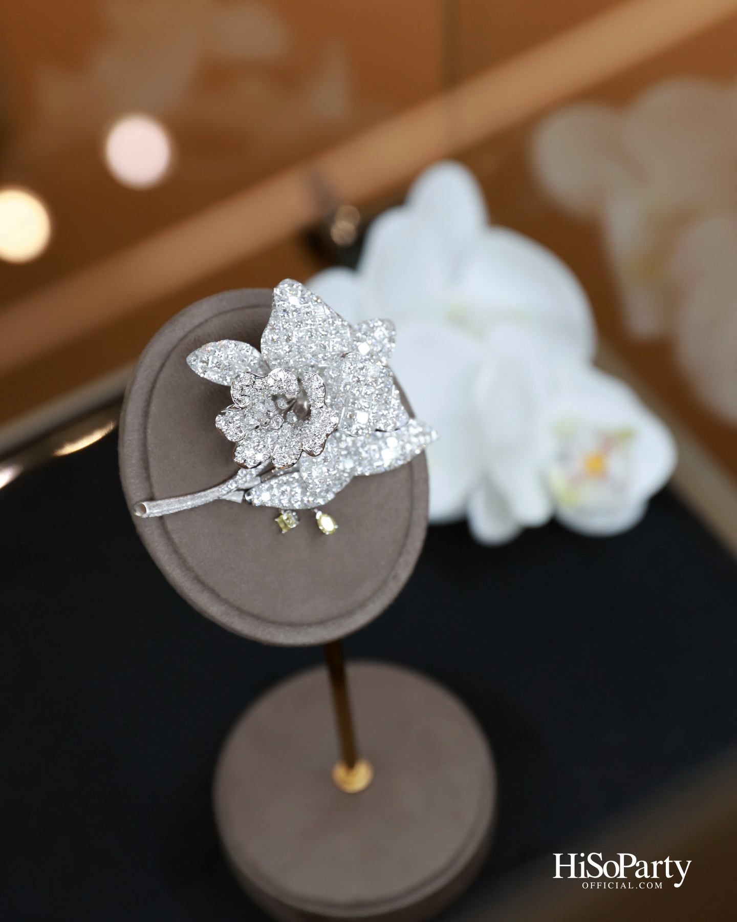 HiSoParty x Beauty Gems Christmas New Year’s Celebration