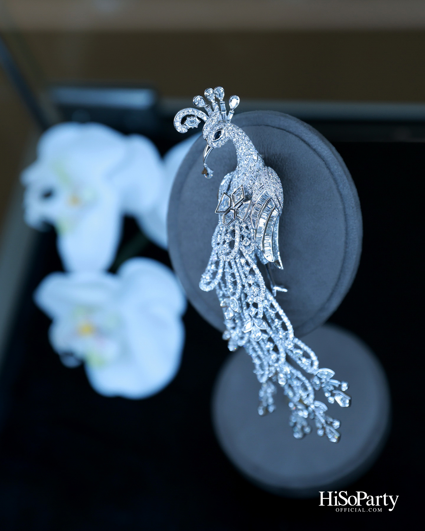 HiSoParty x Beauty Gems Christmas New Year’s Celebration