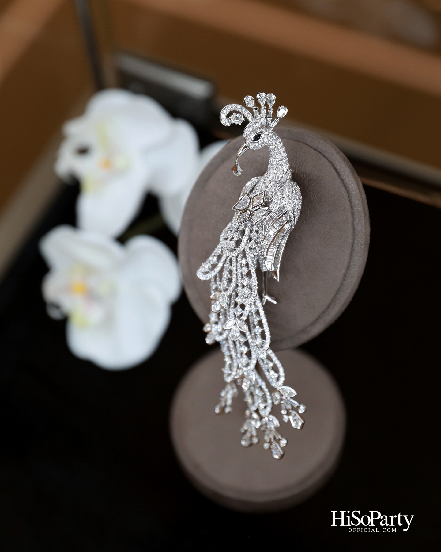 HiSoParty x Beauty Gems Christmas New Year’s Celebration