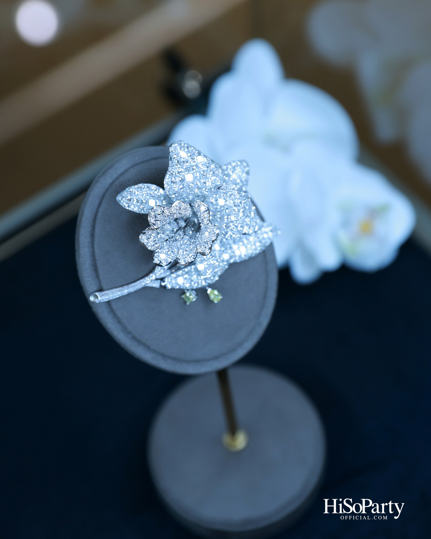 HiSoParty x Beauty Gems Christmas New Year’s Celebration