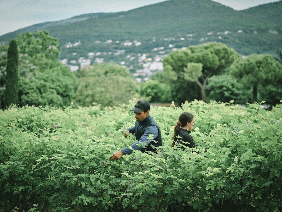 Onitsuka Tiger เปิดตัว Eau de Parfum ครั้งแรก 4 กลิ่นสุดไอคอนิก ถ่ายทอดเสน่ห์ ‘Wearing Quiet Radiance’