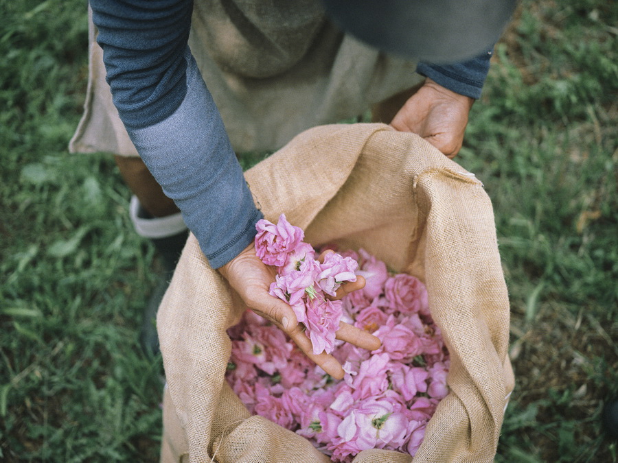 Onitsuka Tiger เปิดตัว Eau de Parfum ครั้งแรก 4 กลิ่นสุดไอคอนิก ถ่ายทอดเสน่ห์ ‘Wearing Quiet Radiance’