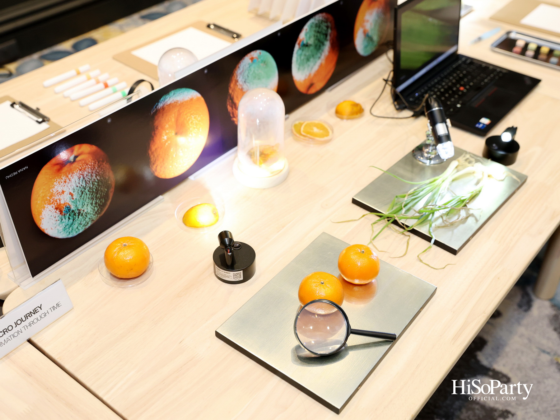 EtonHouse เปิดตัว Middleton International School Bangkok นำรูปแบบการศึกษาสามภาษาพร้อมรับอนาคตสู่ประเทศไทย