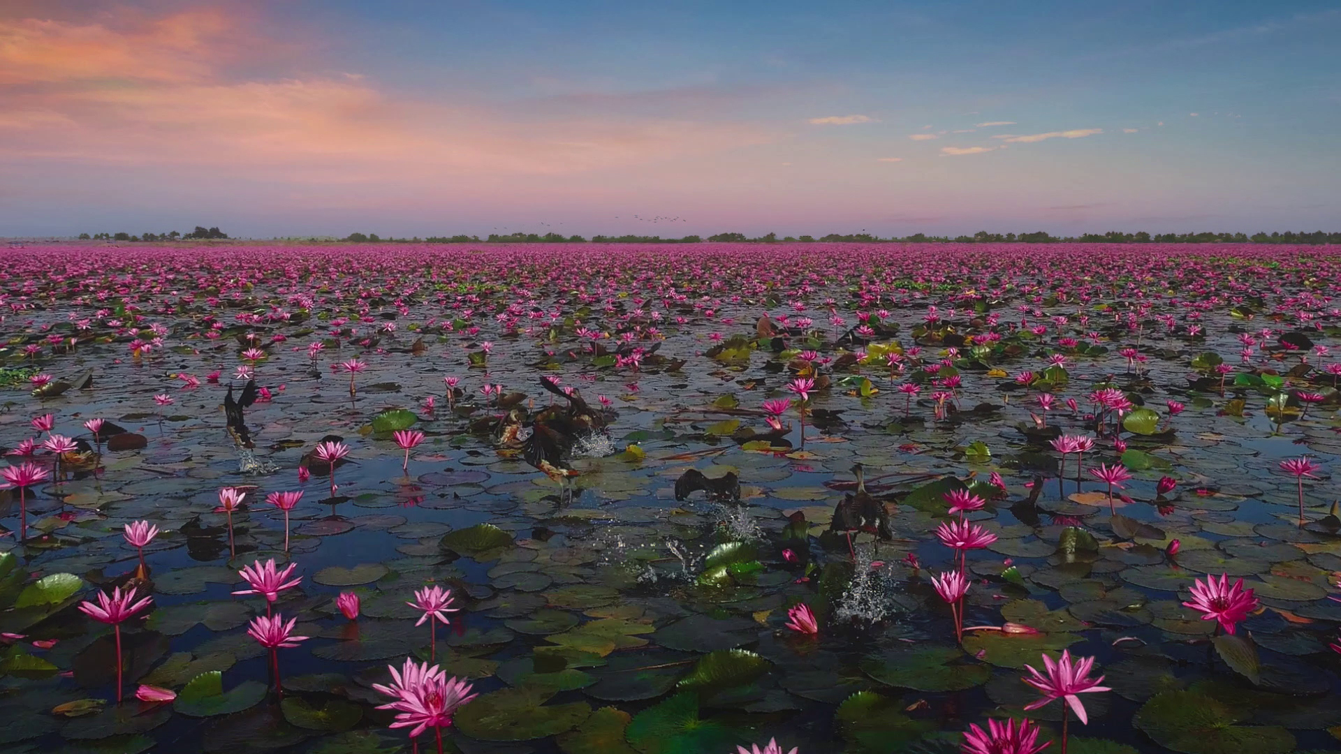 ททท. เปิดตัว ‘คุณลิซ่า – ลลิษา มโนบาล’ Amazing Thailand Ambassador ถ่ายทอดเสน่ห์ไทยผ่านแคมเปญ ‘Feel All The Feelings’