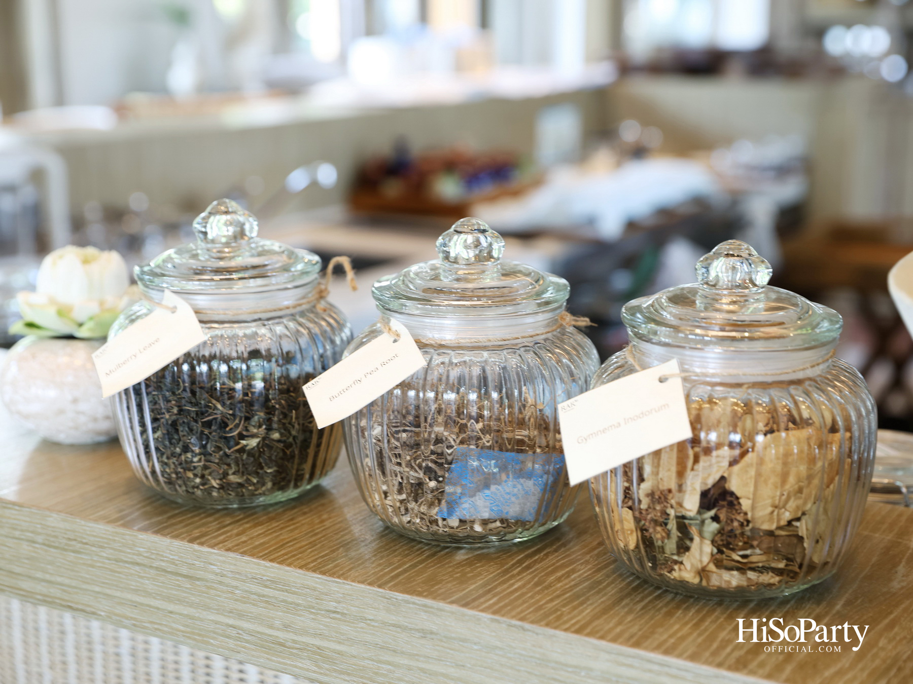 HiSoParty X RAKxa Integrative Wellness ชวนสัมผัส ‘One Day - A Journey into Longevity’ เปิดประสบการณ์ดูแลสุขภาพแบบองค์รวม