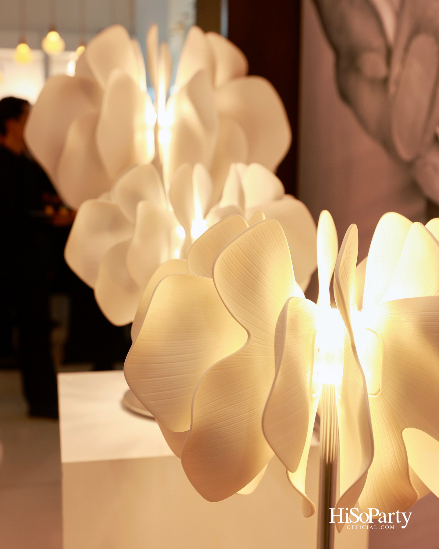 Crystal Symphony และ Lladró เผยประสบการณ์สุดเอ็กซ์คลูซีฟ ถ่ายทอดสุนทรียศาสตร์แห่งแสงไฟผ่านงานพอร์ซเลนร่วมสมัย