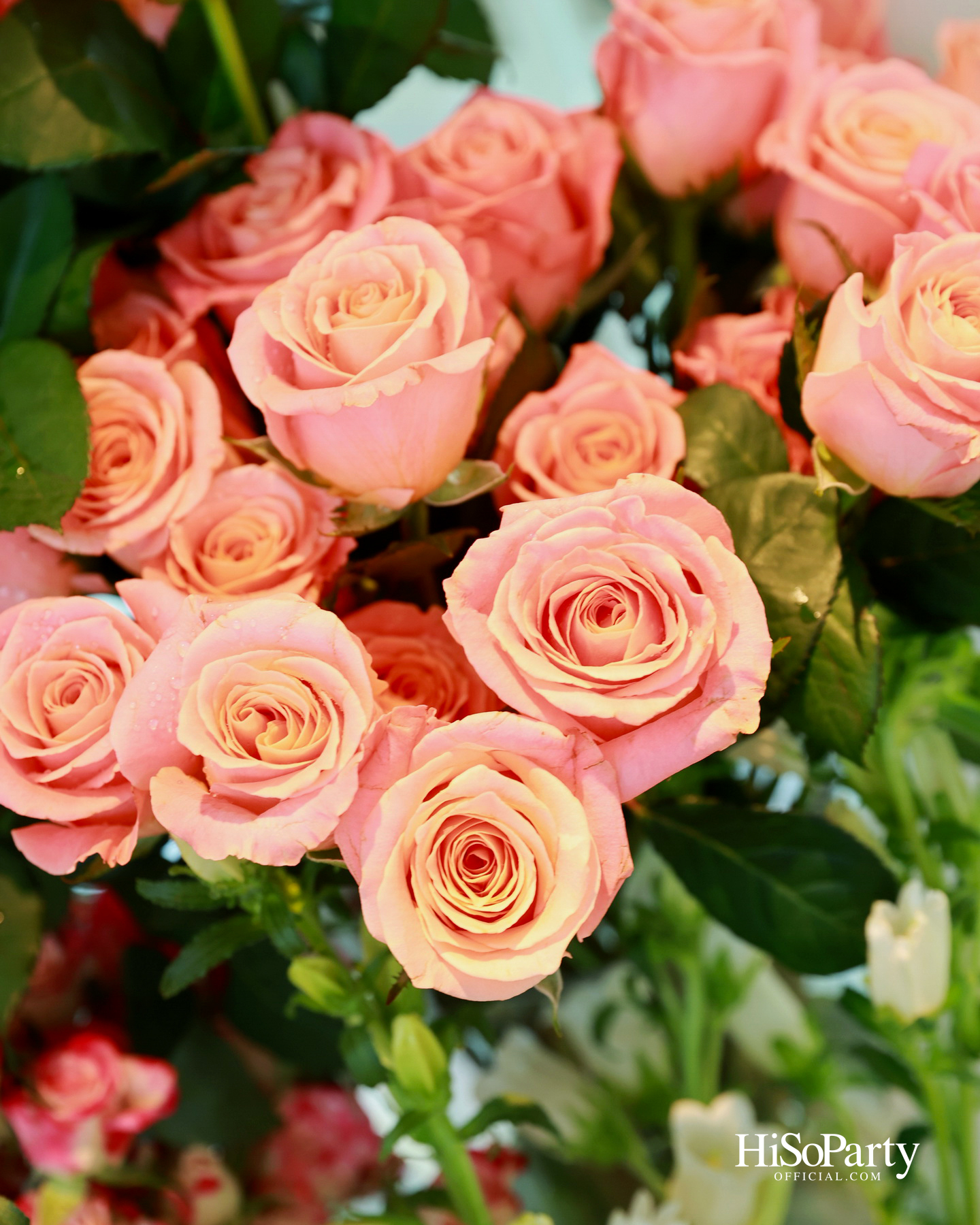 Van Cleef & Arpels ถ่ายทอด ‘บทกวีแห่งฤดูใบไม้ผลิ’ ผ่าน Lucky Spring ต้อนรับสัญลักษณ์ผีเสื้อแห่งการเริ่มต้นใหม่