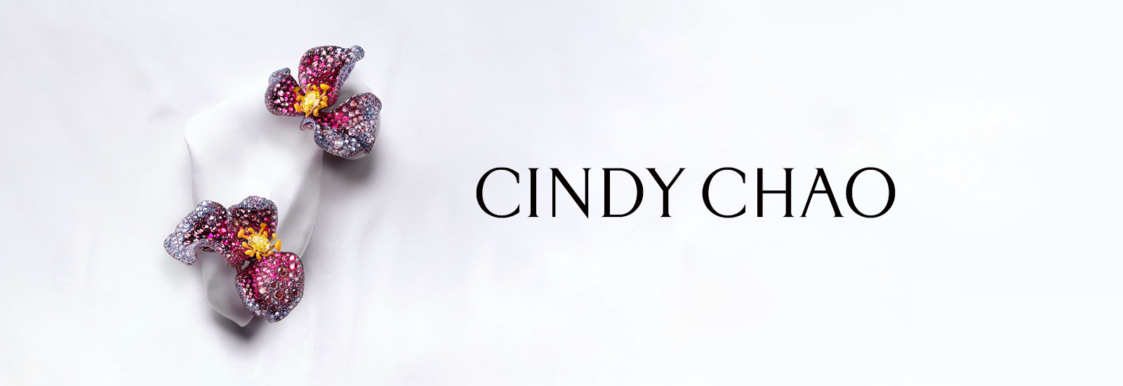 The All New Lexus RX Exclusive Preview Party