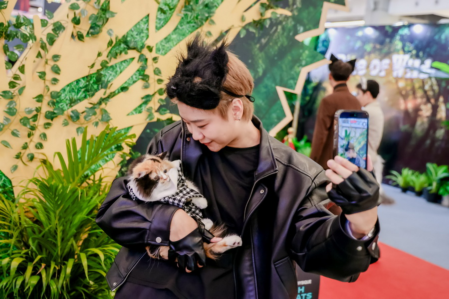 Bite of Wild เปิดตัวในไทยอย่างมีสไตล์ ชวนเหล่า Cat Lovers สัมผัสประสบการณ์ ‘ชุมทางเชฟเสือ’