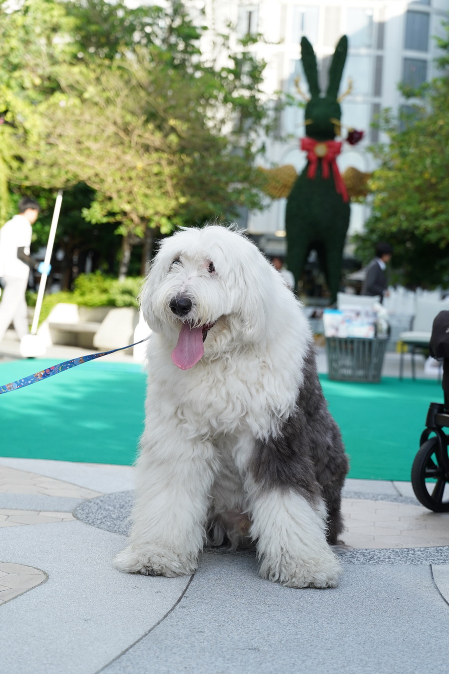‘Paws & Play Season 4’ เติมโมเมนต์แห่งความสุขริมเจ้าพระยา สำหรับคนรักสัตว์เลี้ยงและเพื่อนสี่ขา