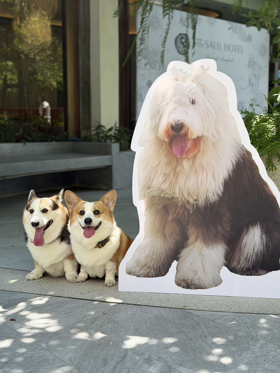 ‘Paws & Play Season 4’ เติมโมเมนต์แห่งความสุขริมเจ้าพระยา สำหรับคนรักสัตว์เลี้ยงและเพื่อนสี่ขา
