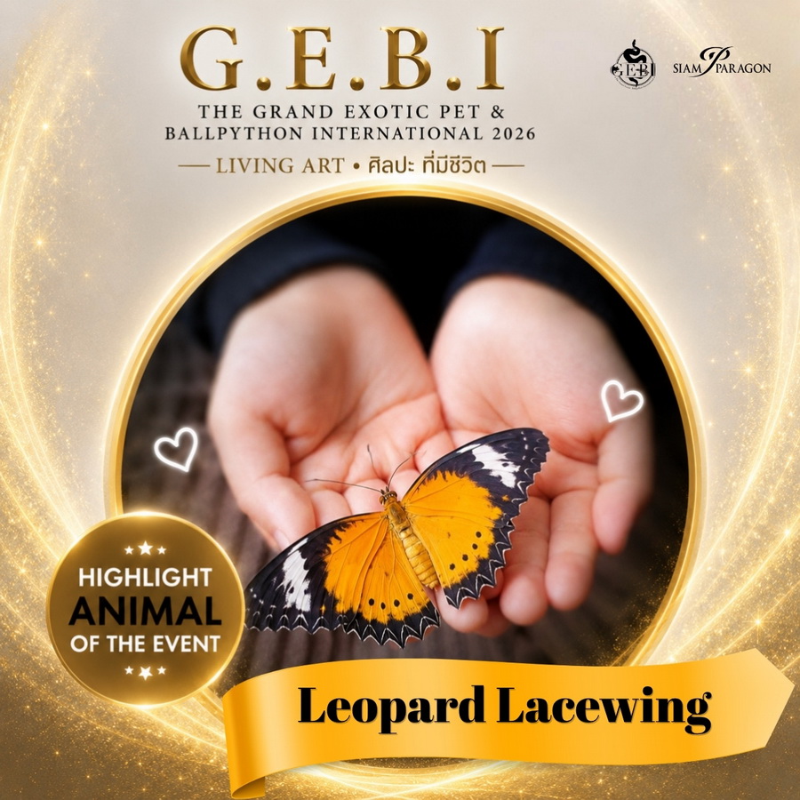 สยามพารากอน ชวนเปิดโลกสัตว์ Exotic ในงาน ‘G.E.B.I. – The Grand Exotic Pet & Ball Python International 2026’