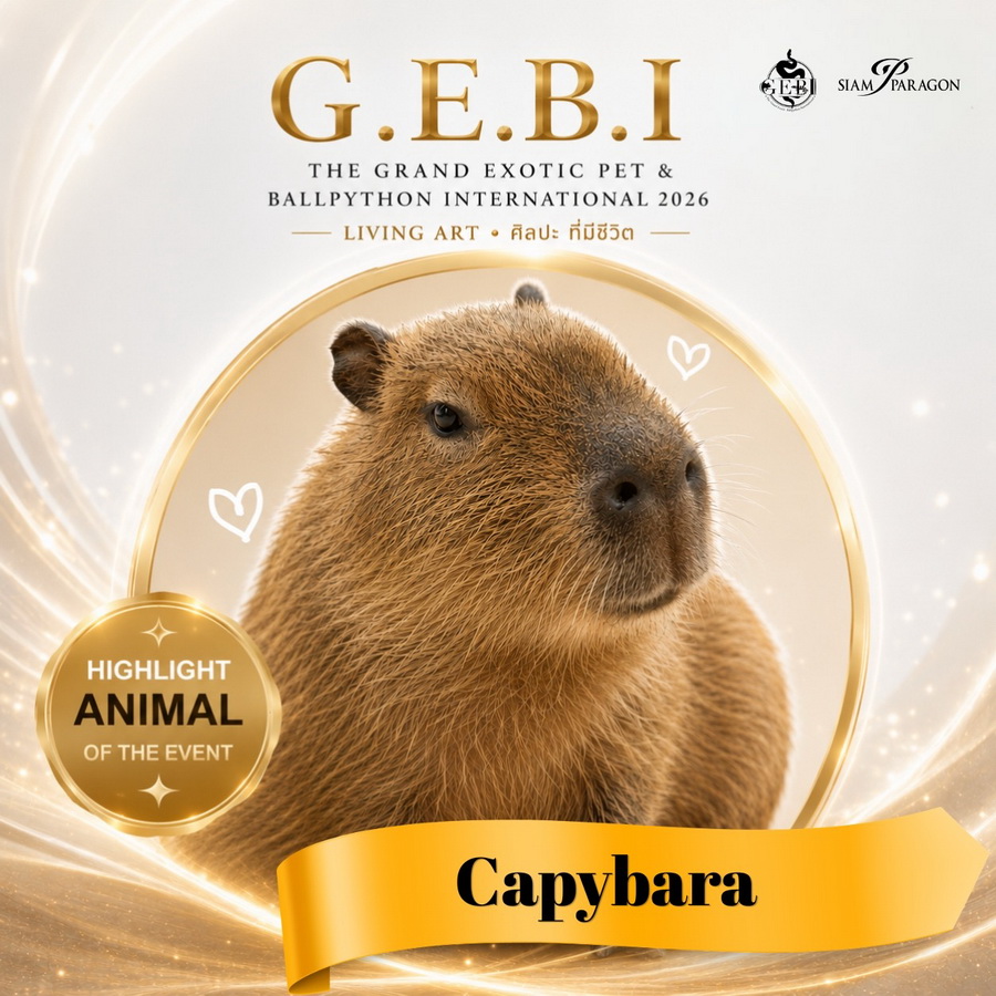 สยามพารากอน ชวนเปิดโลกสัตว์ Exotic ในงาน ‘G.E.B.I. – The Grand Exotic Pet & Ball Python International 2026’