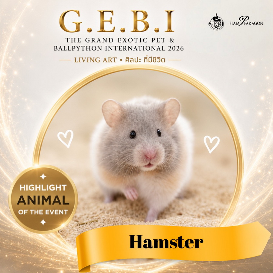 สยามพารากอน ชวนเปิดโลกสัตว์ Exotic ในงาน ‘G.E.B.I. – The Grand Exotic Pet & Ball Python International 2026’