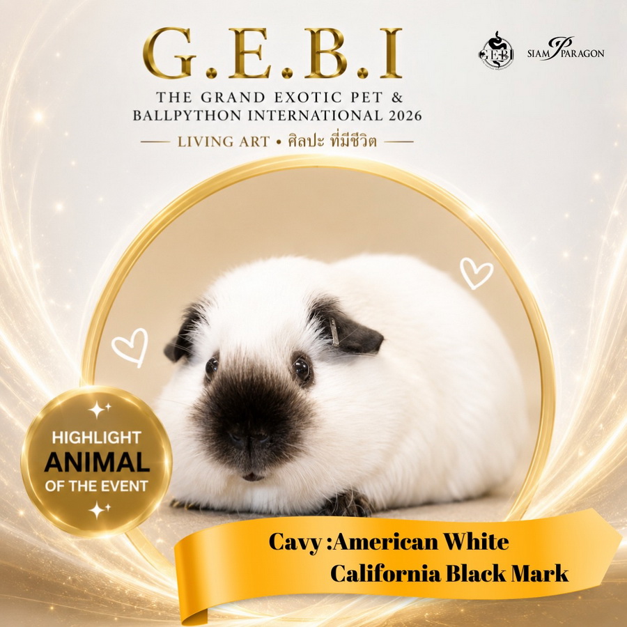สยามพารากอน ชวนเปิดโลกสัตว์ Exotic ในงาน ‘G.E.B.I. – The Grand Exotic Pet & Ball Python International 2026’