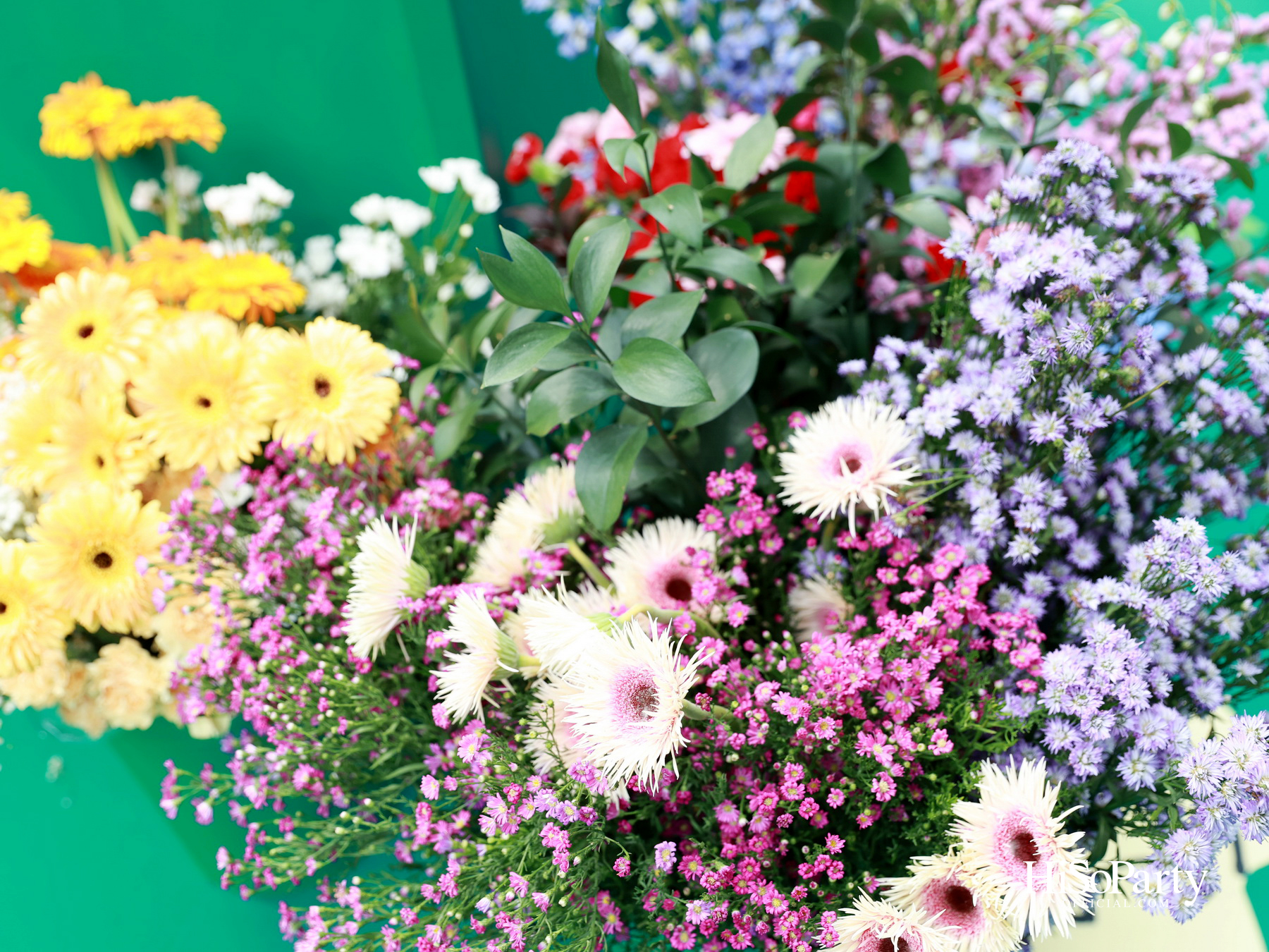 Marimekko เปิดตัว ‘เต้ย – จรินทร์พร’ Brand Ambassador คนแรกของประเทศไทย ในงาน ‘Marimekko: Art of Flowers’