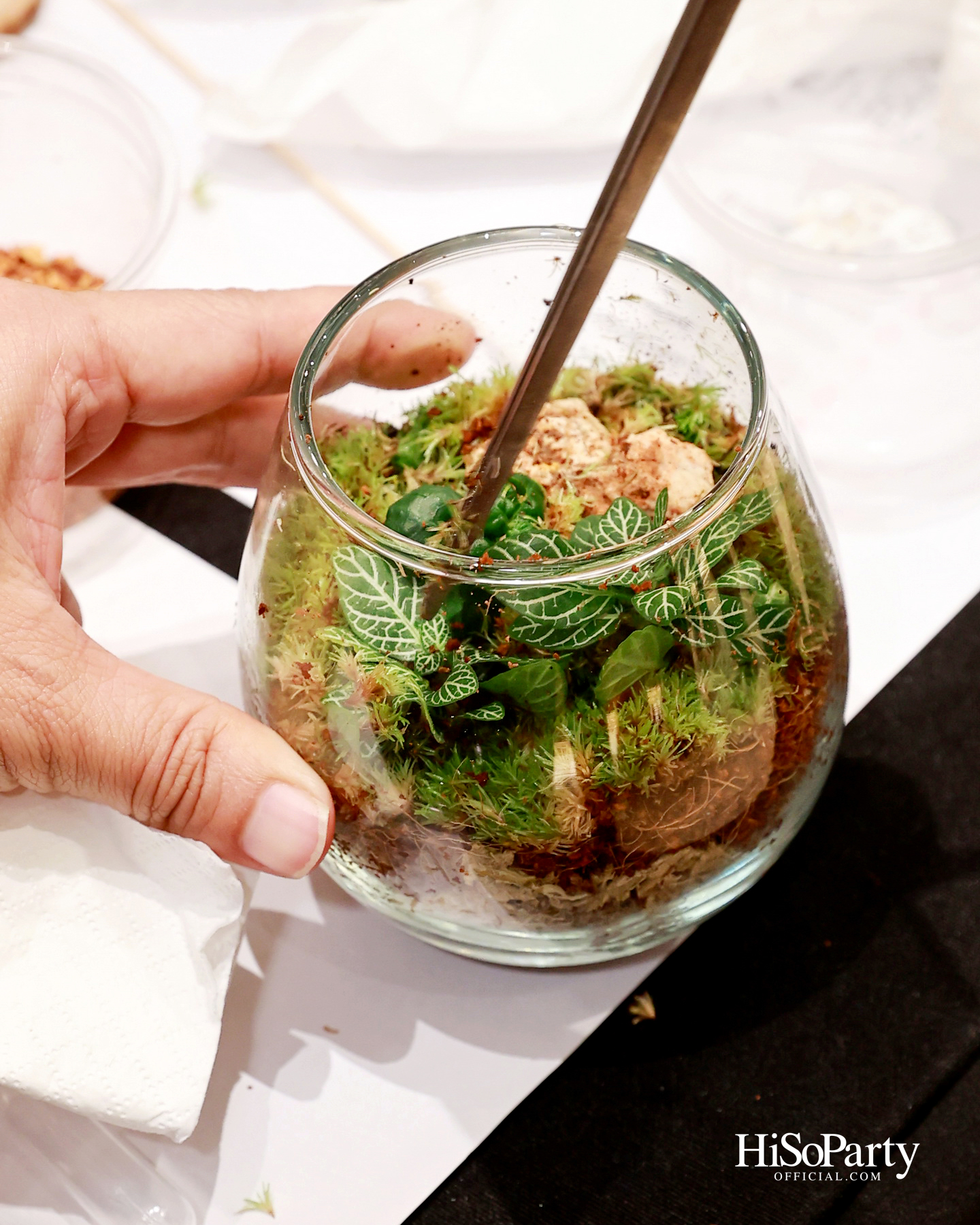CHAGEE เปิดตัวมัทฉะซีรีส์ใหม่ ผ่าน ‘Matcha Tasting Journey’ พร้อมเชื่อมโลกของชาเข้ากับเรื่องราวจาก The Little Prince