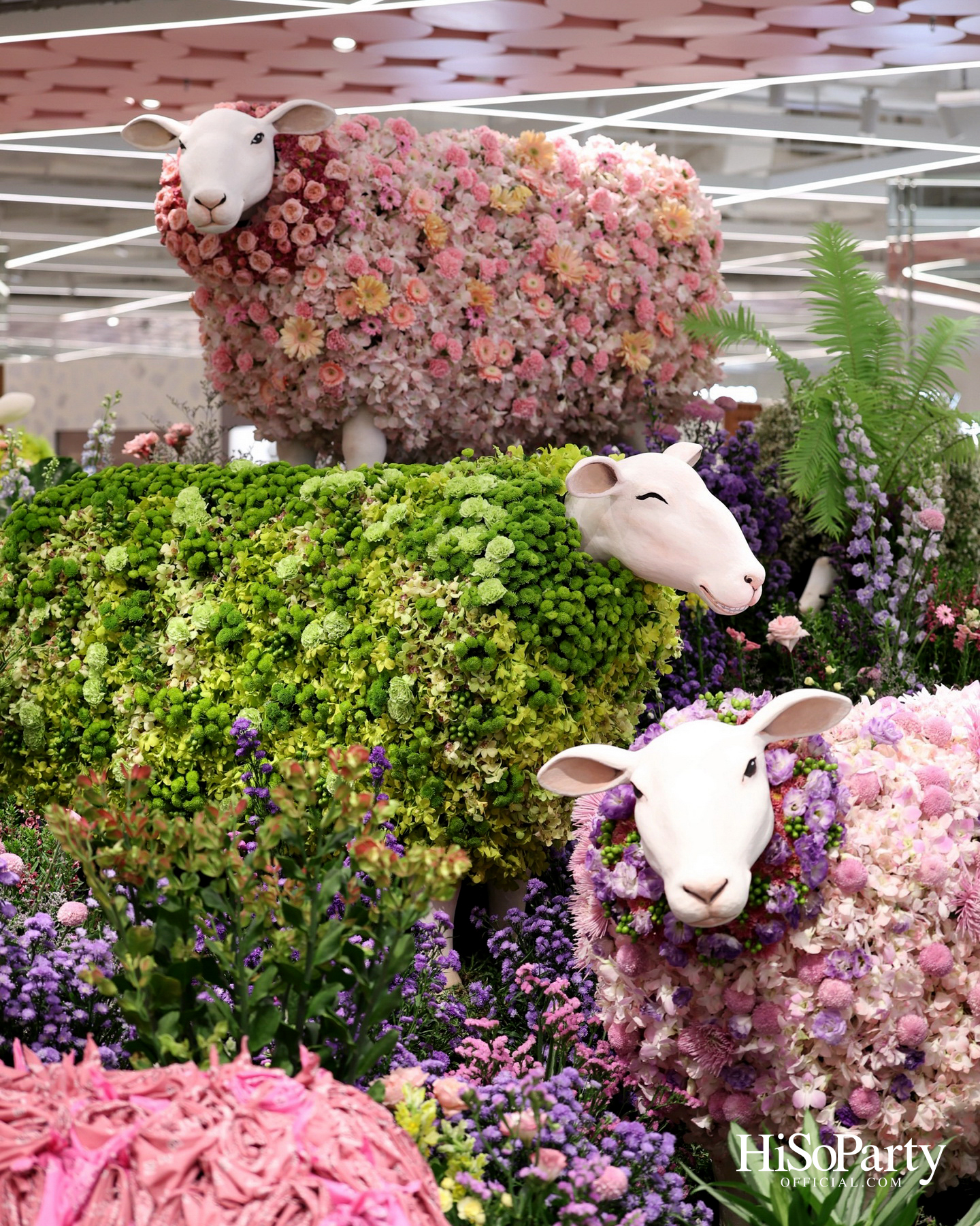 ห้างเซ็นทรัลฉลองครบรอบ 79 ปี กับ ‘CENTRAL ANNIVERSARY 2026 – WHERE WONDERS BLOOM’ เนรมิตเทศกาลดอกไม้แห่งปีสุดตระการตา